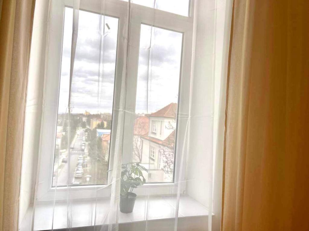 Apartman Vinohrady Brno Eksteriør bilde